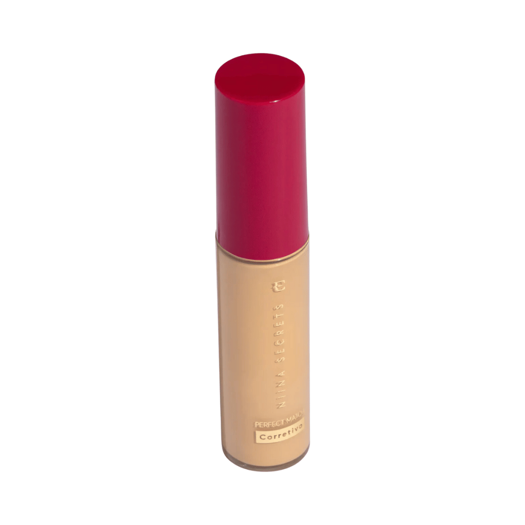 Corretivo Niina Secrets Perfect Match - Cor 10