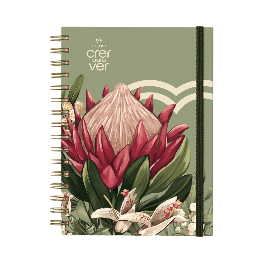 Caderno Crer Para Ver