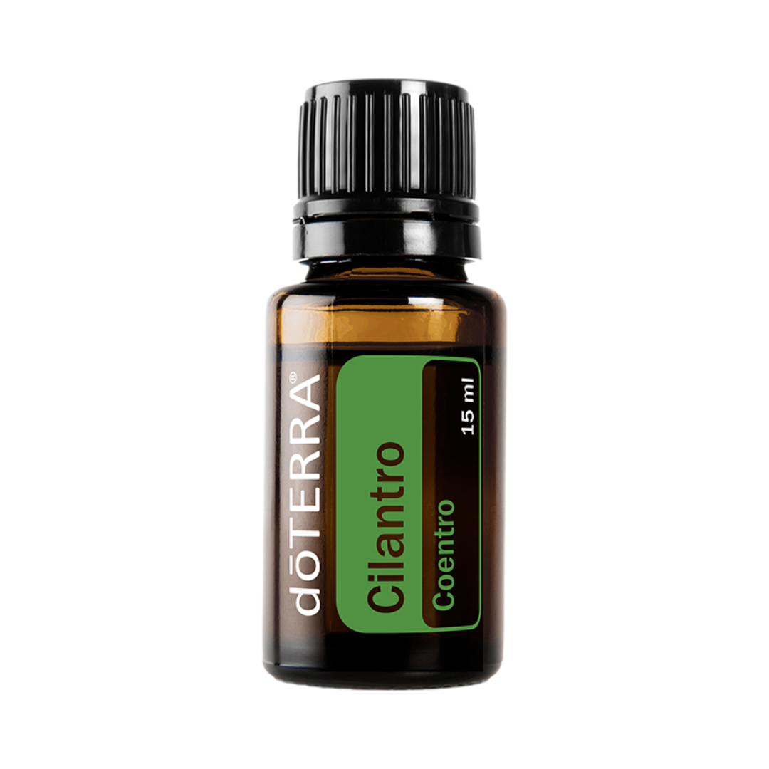 Cilantro Óleo Essencial Coriandrum Sativum (Coentro) 15ml