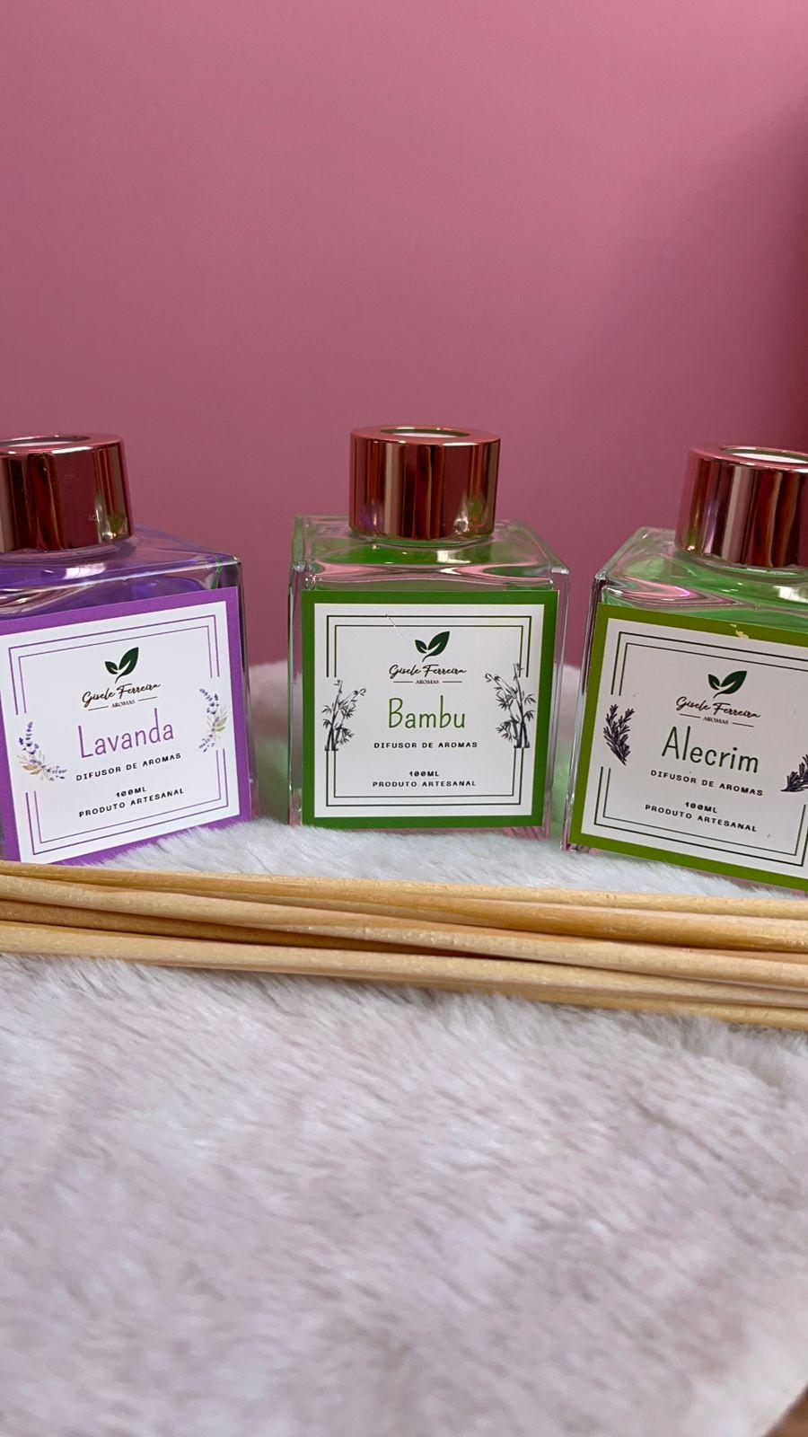 Difusor de varetas 100ml Gisele Ferreira